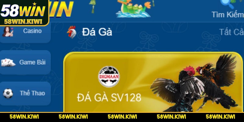 58WIN sân chơi cá cược hàng đầu Việt Nam