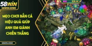 meo-choi-ban-ca